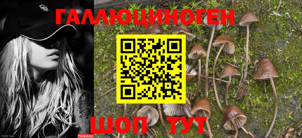 Псилоцибиновые грибы мухоморы Холмск
