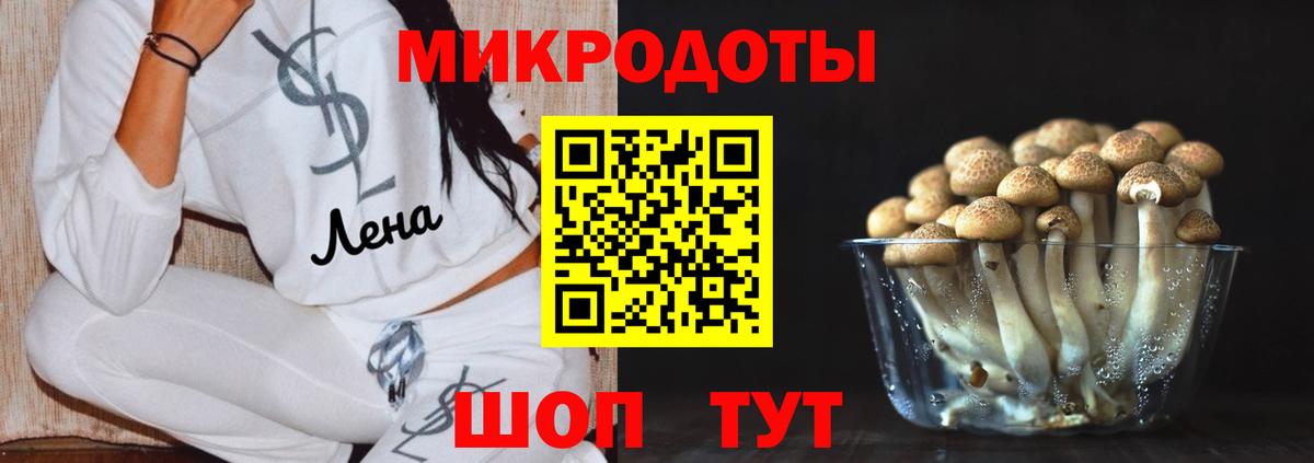 Холмск  Галлюциногенные грибы MAGIC MUSHROOMS  Вход с VPN 